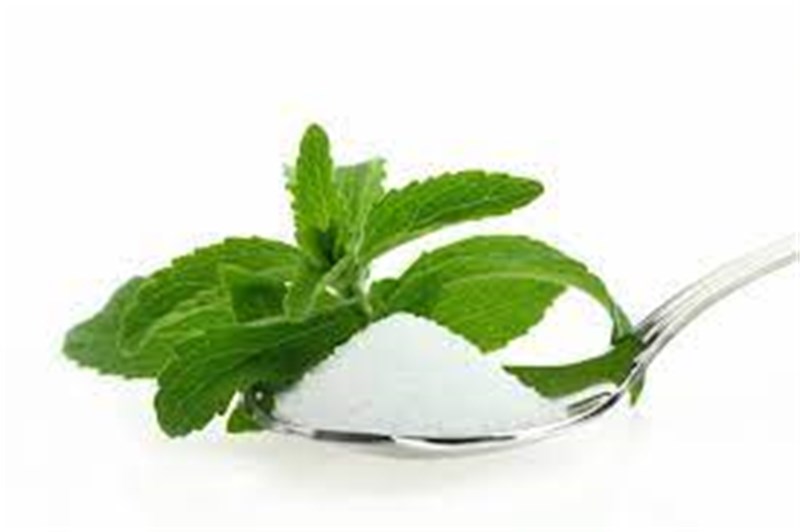 CHA ERVA CIDREIRA 20G VIDA NATURAL