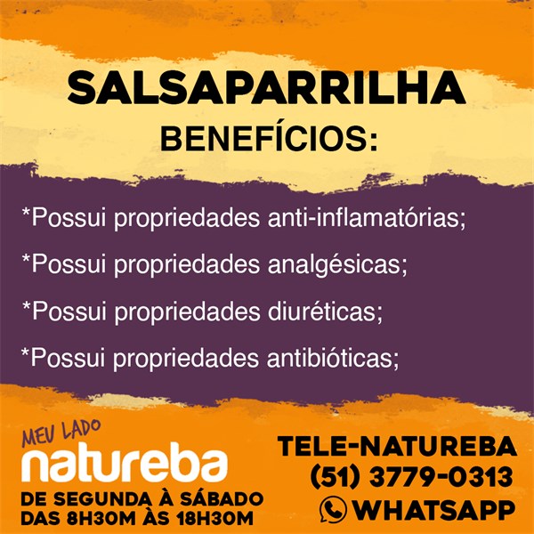 SALSAPARRILHA RAIZ 30G CHA NATUREBA