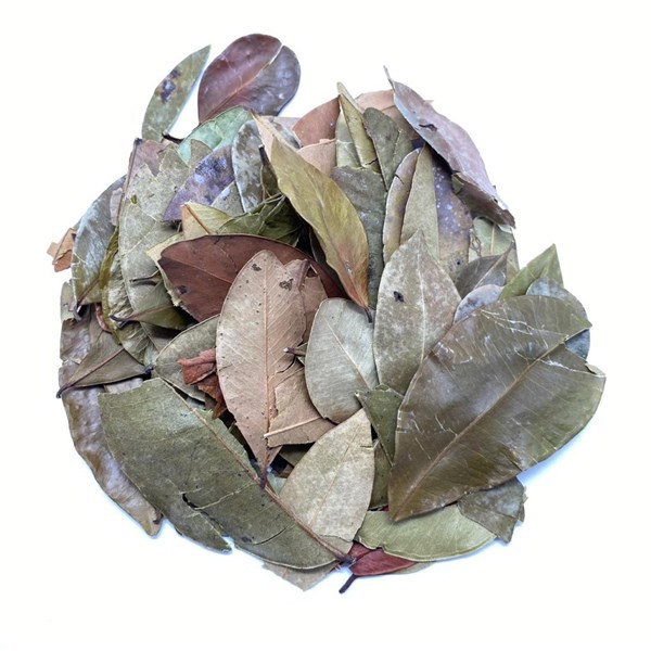 PEDRA UME KAA INSULINA VEGETAL 20G NATUREBA