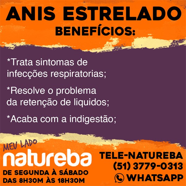 ANIS ESTRELADO 20G CHA NATUREBA