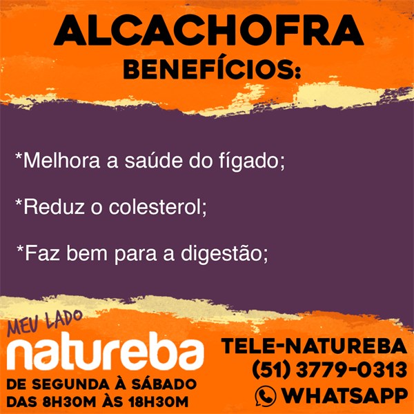 ALCACHOFRA 20G CHA NATUREBA