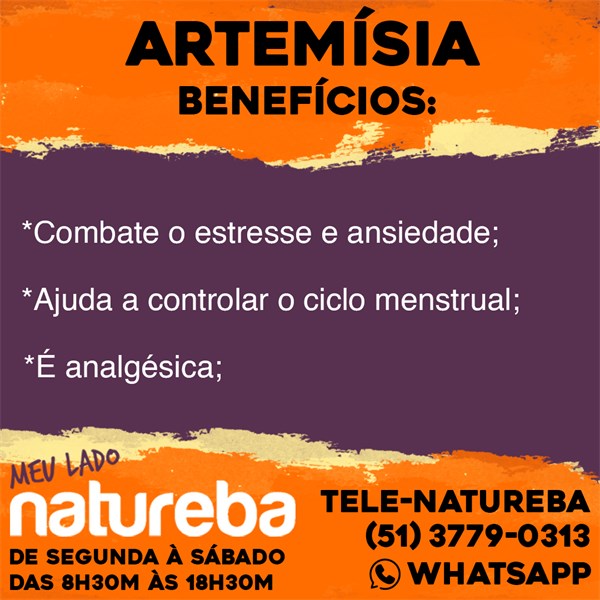 ARTEMISIA CHA 30G NATUREBA