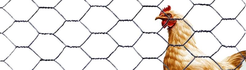 TELA ARAME GALINHEIRO 2"X23X1,80M (METRO)