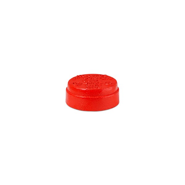 Tampão ranhurado 2 1/2“ 76mm