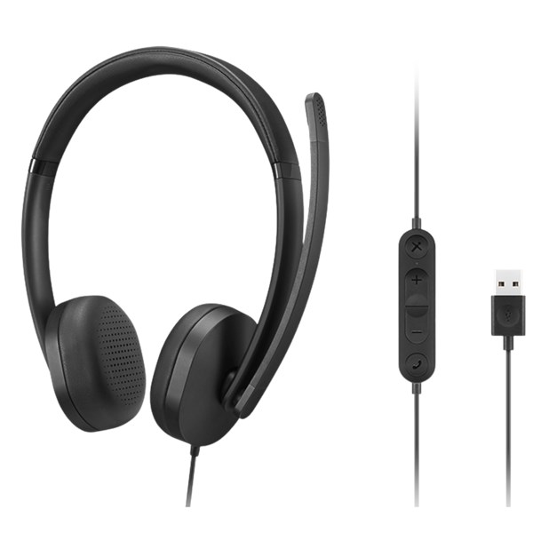 HEADSET, LENOVO, L120, USB
