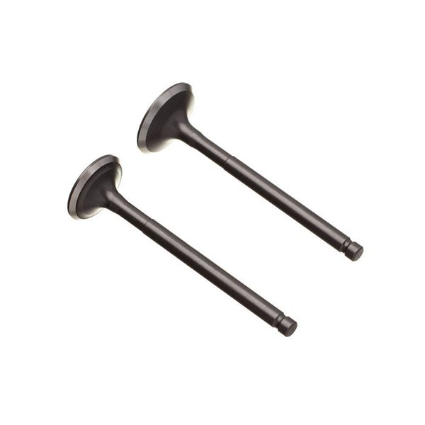 VALVULA ADMISSAO BIZ 125 - BOUTTE