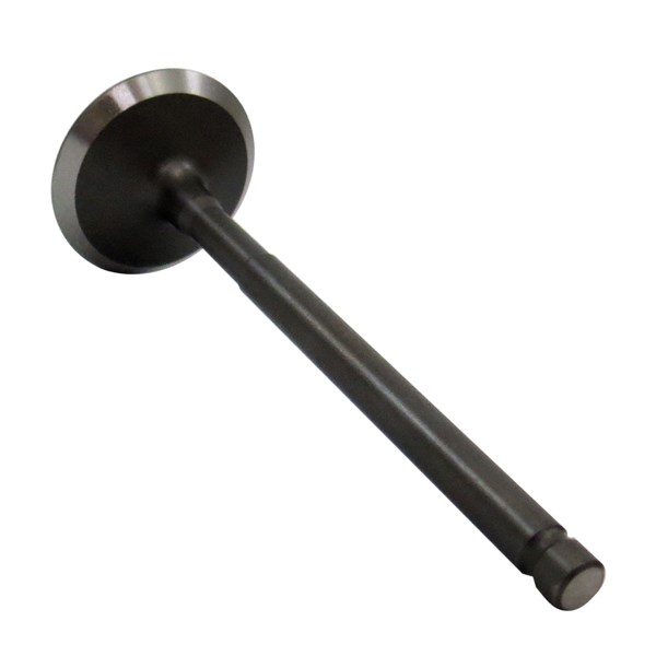 VALVULA ADMISSAO TITAN/FAN 125 02/08 - BOUTTE