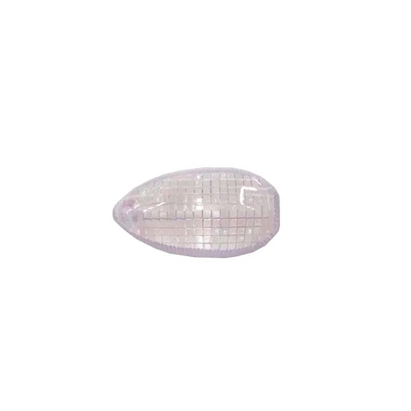 LENTE PISCA FAZER/LANDER 250 CRISTAL - VALPLAS