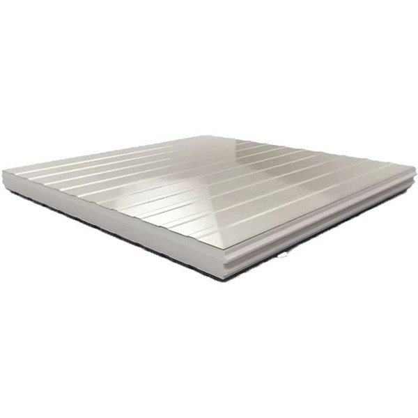 ISOPAINEL 2F100 - 2600MM