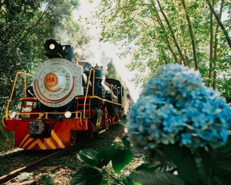 Tour Maria Fumaça – Privativo