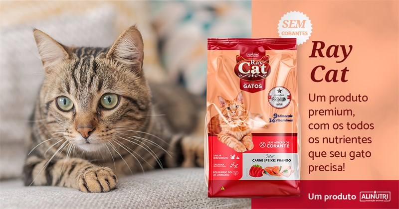 Ray Cat Sem Corantes 10,1 KG