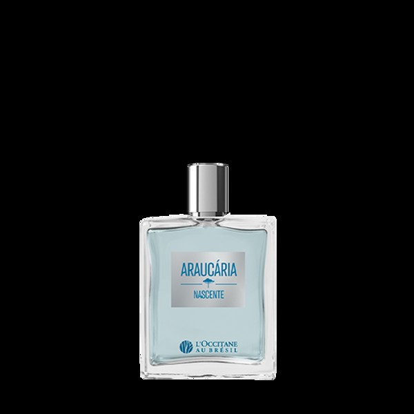 LOCCITANE AU BRESIL ARAUCARIA NASCENTE DEO COLONIA 100ML