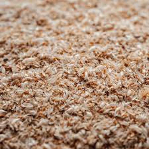 PSYLLIUM FIBRAS 80%