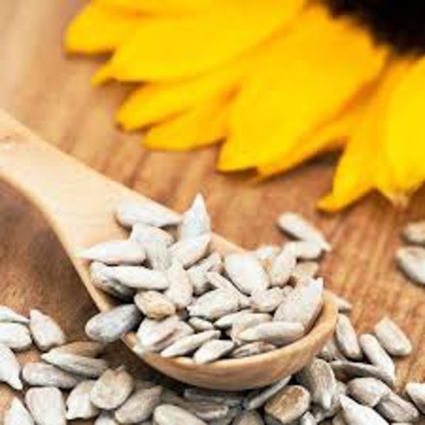 PEPITA DE GIRASSOL CRUA S/CASCA