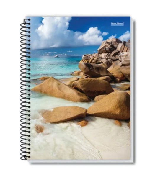 Caderno 1/4 Espiral 48 FL, Coleção NEW PB