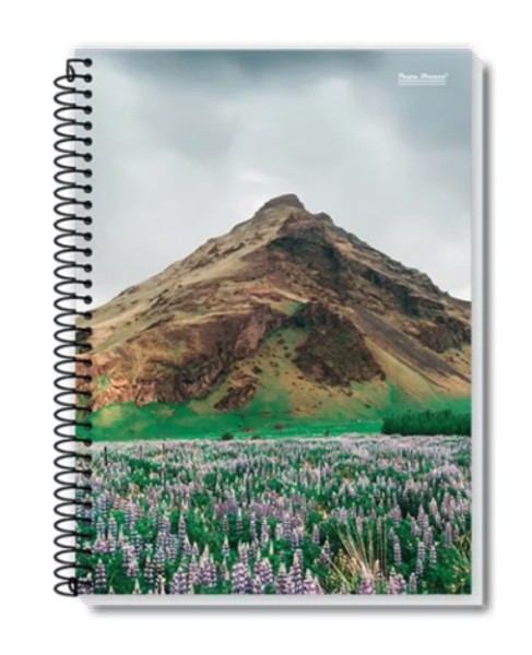 Caderno 1/4 Espiral 48 FL, Coleção NEW PB