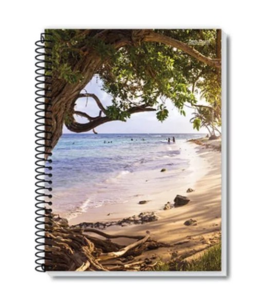 Caderno 1/4 Espiral 48 FL, Coleção NEW PB