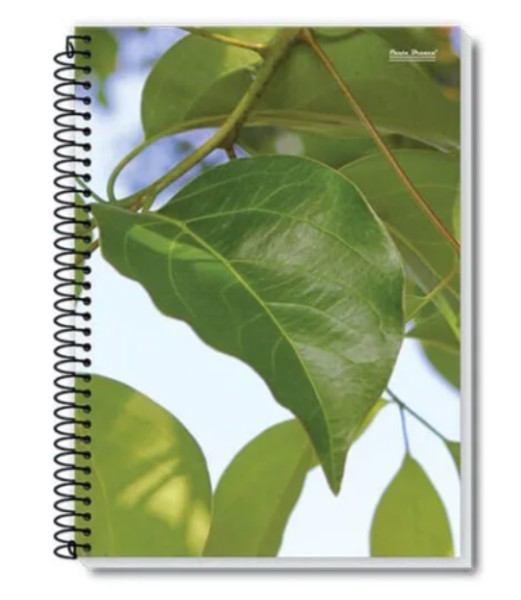 Caderno 1/4 Espiral 48 FL, Coleção NEW | PB