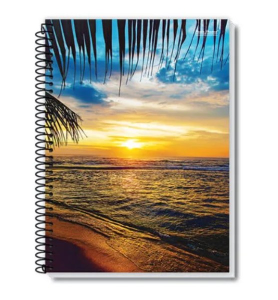 Caderno 1/4 Espiral 48 FL, Coleção NEW | PB