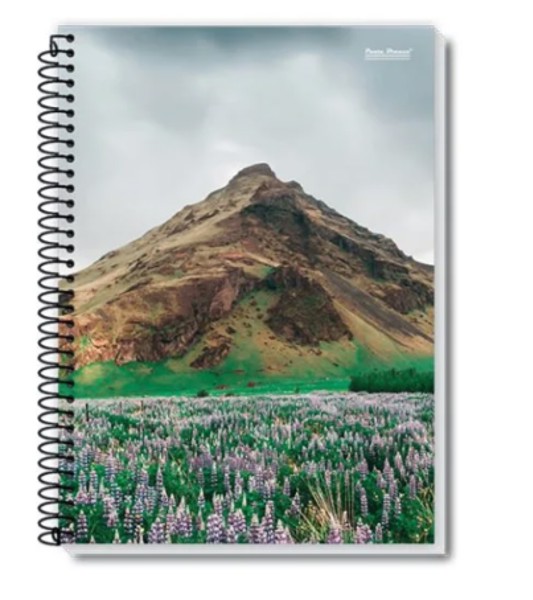 Caderno 1/4 Espiral 48 FL, Coleção NEW | PB
