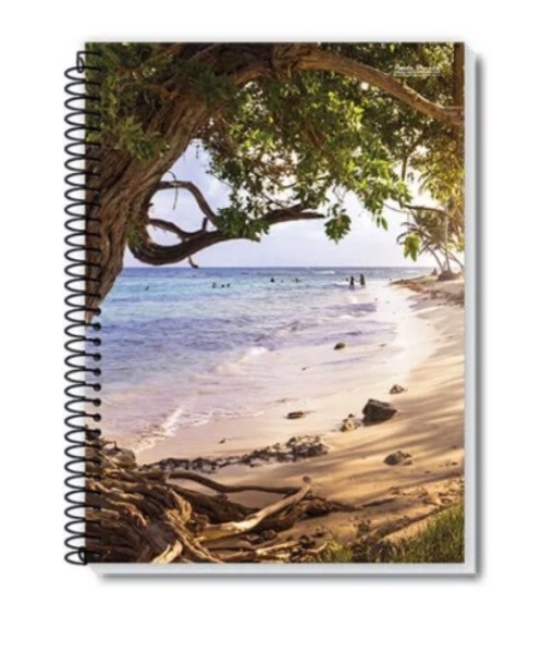 Caderno 1/4 Espiral 48 FL, Coleção NEW | PB