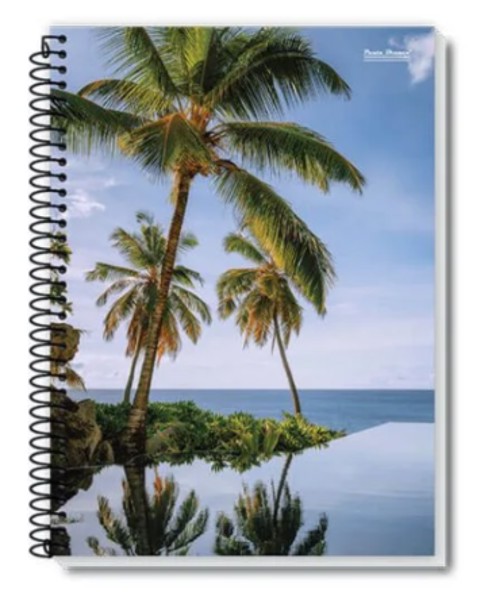 Caderno 1/4 Espiral 48 FL, Coleção NEW | PB