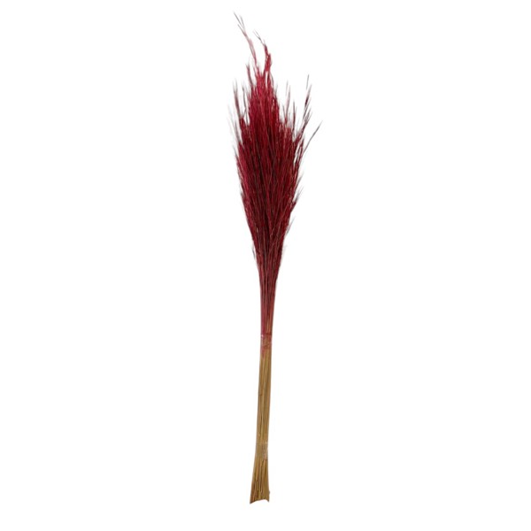 CAPIM BARBA DESIDRATADO MARSALA 70CM FLORARTE Vol. 11 68115 R.000629