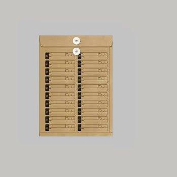 ENVELOPE KRAFT VAI VEM 250X353 80G SKN635 ENVE0213