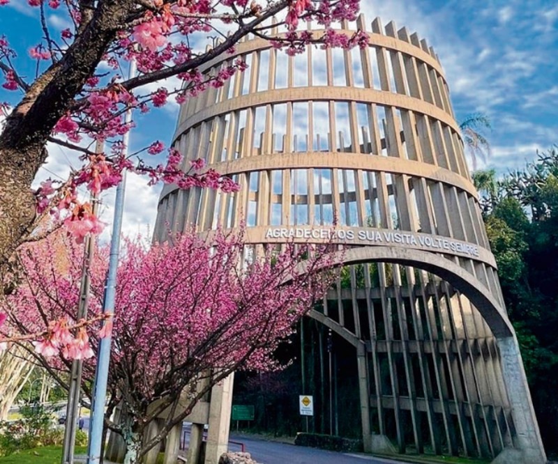 Tour dos Vinhedos – Bento Gonçalves - Privativo