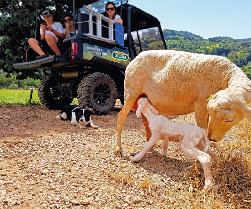 Caminho de Pedras - Privativo