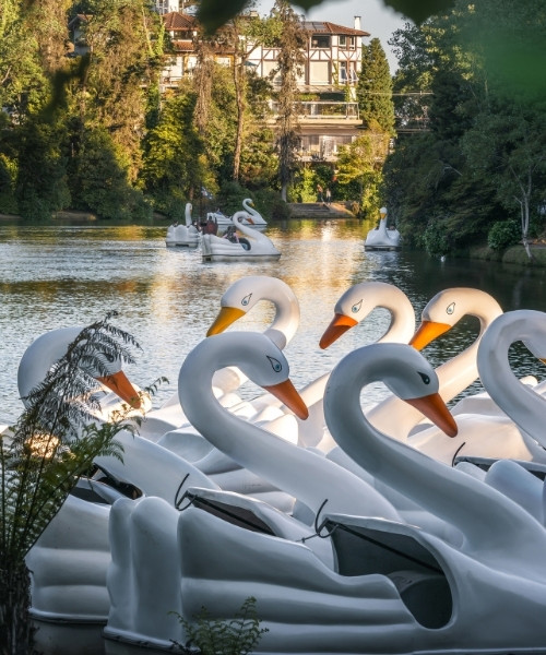 Tour Gramado - Privativo