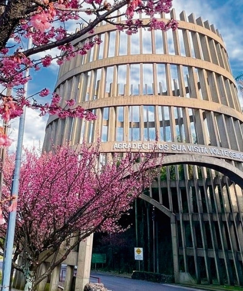 Tour dos Vinhedos – Bento Gonçalves - Privativo