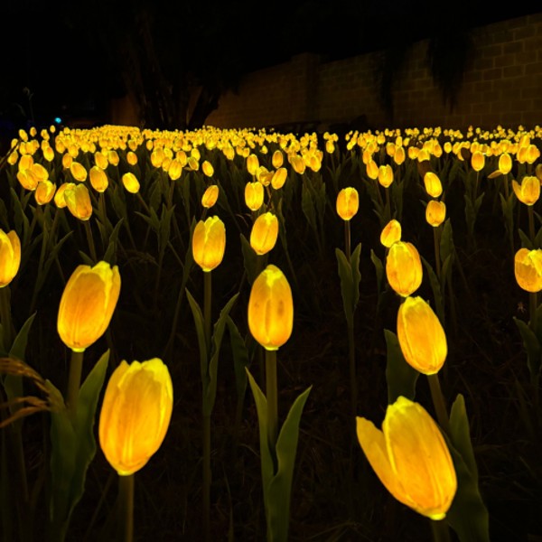 Lumni Experience – Uma Noite de Luzes e Encantamento