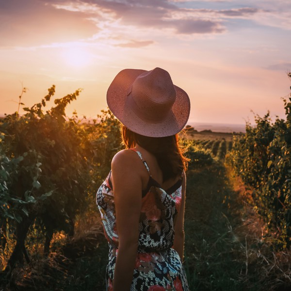 Tour Vale dos Vinhedos Personalizado Privativo - Conheça as melhores vinícolas do Brasil