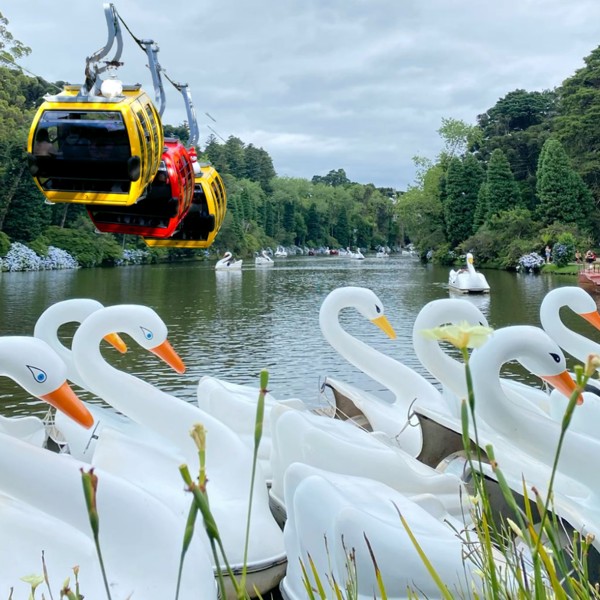 City Tour Gramado e Canela Coletivo – Os Principais Atrativos em Um Só Dia