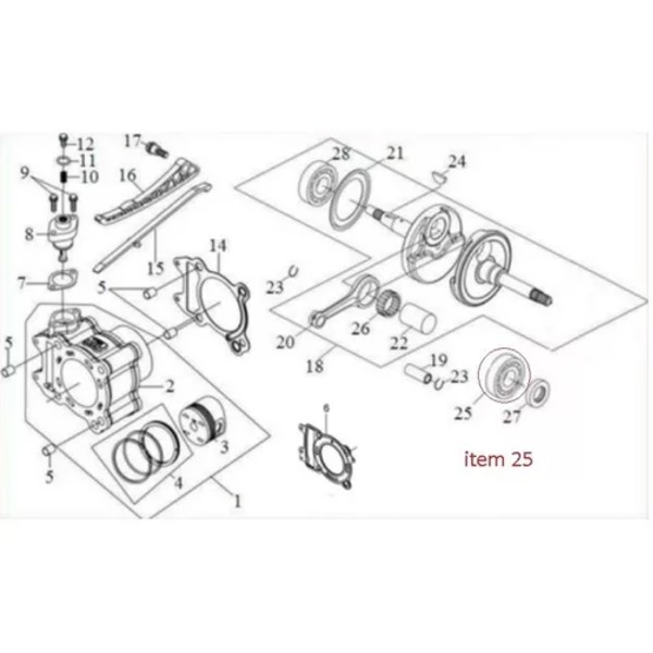 Rolamento virabrequim Citycom/Cruisym 300 radial Original 10321-A21-000
