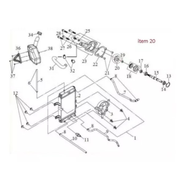 Rotor Bomba Agua Citycom / Next / NH / Cruisym 300 Original Dafra 11202-A21-000