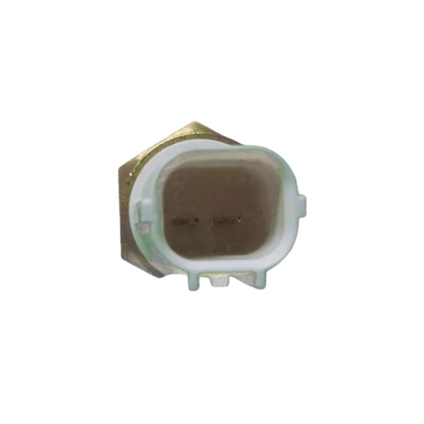 Sensor temperatura TW Citycom/Maxsym/Next/Cruisym 300 Original 10122-A21-000
