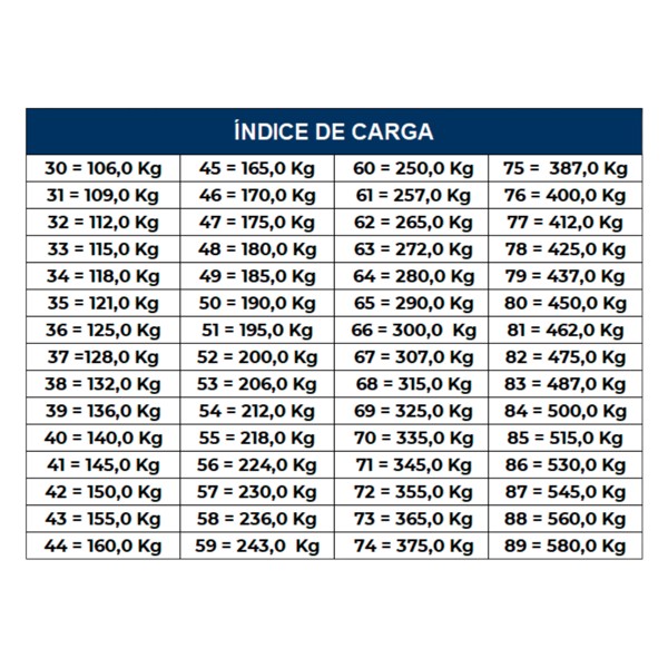 Pneu 120x80x18-62P TT Ceat Zoom Plus 