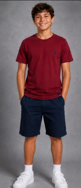 Camiseta Peacock Confort - Marsala