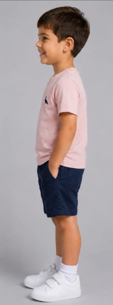 Camiseta Peacock Confort Rosê
