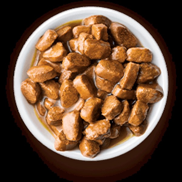 SACHE SPECIAL CAT ULTRALIFE ADULTOS SABOR FRANGO 85GR