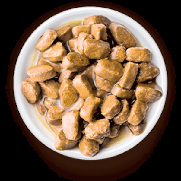 SACHE SPECIAL CAT ULTRALIFE ADULTOS SABOR PEIXE85G