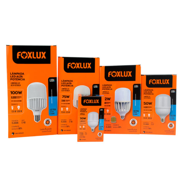 LAMPADA LED 100W FOXLUX E27