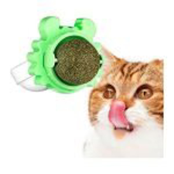KIT PROMOCIONAL GATOS MÊS JUNHO