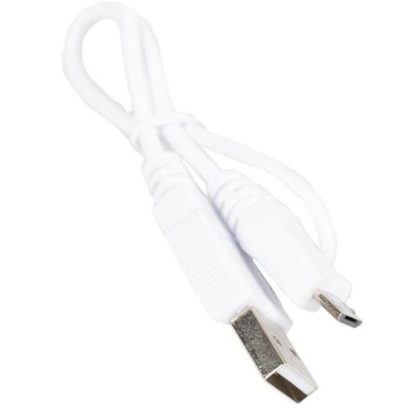 Carregador de Pilha USB TNHC-6GME2 CB (C/2 Pilhas AA 2000 MAh) Toshiba