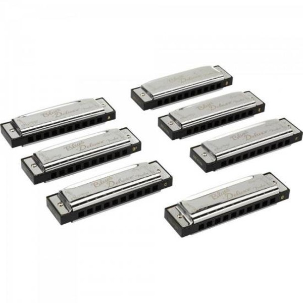 Kit Gaita Fender com 7 BLUES Deluxe e Case