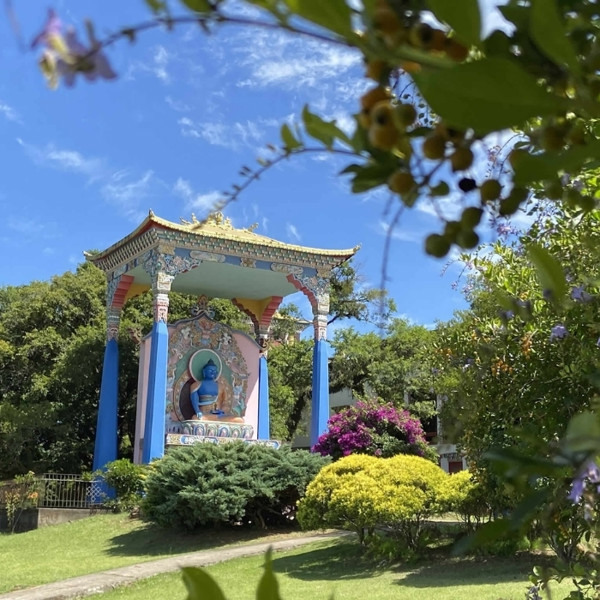 Tour Templo Budista