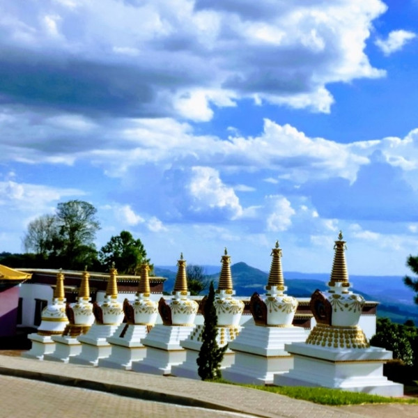 Tour Templo Budista