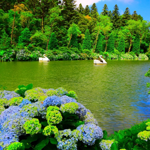 Tour Gramado e Canela Coletivo
